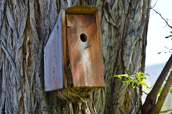 Overstuffed and Overflowing Birdhouse — Stock Photo, Image