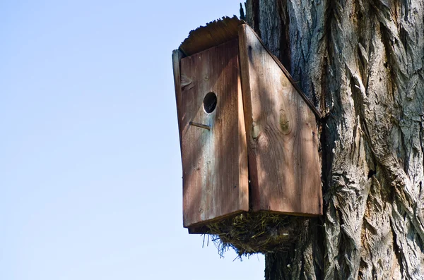 Miękką i przepełnione birdhouse — Zdjęcie stockowe
