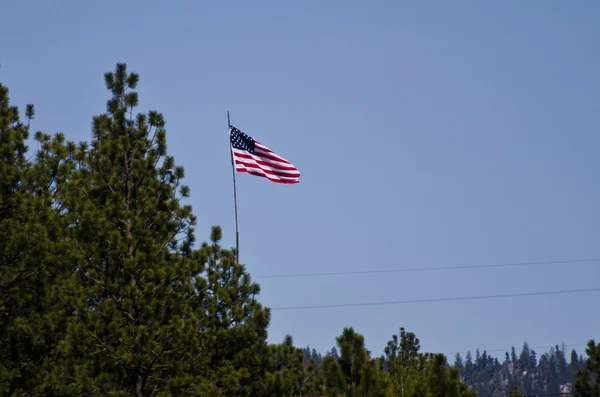 Amerykańską flagę latające nad sosny — Zdjęcie stockowe