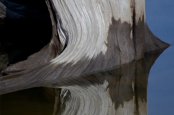 Příroda abstraktní - zvětralý naplaveného dřeva, což se odráží ve vodě — Stock fotografie