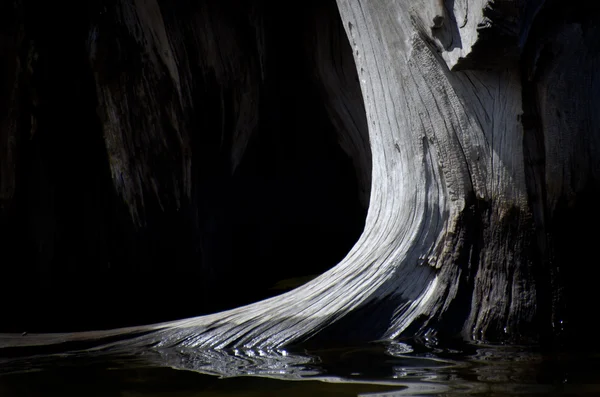 Natur abstrakt - weatherworn Treibholz im Wasser reflektiert — 图库照片