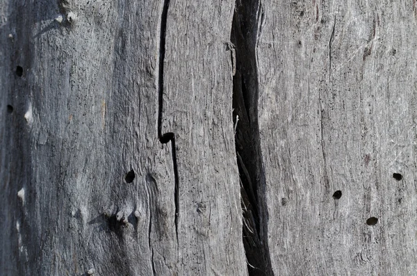 Příroda abstraktní - přirozeně dřevo — Stock fotografie