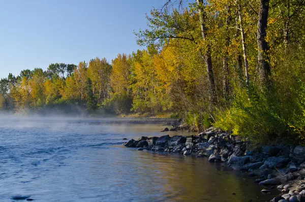 Morgondimman vid floden hösten — Stockfoto