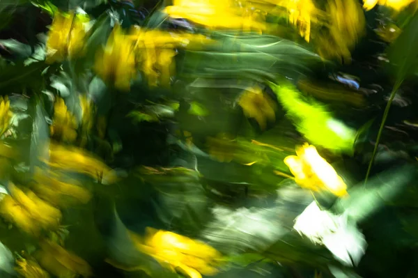 Nature Abstract Gelbe Und Grüne Bewegungsunschärfe Für Hintergrund Geeignet — Stockfoto