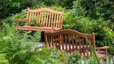 Boş Ahşap Park Banklarının Parisi Ziyaretçi Bekliyor