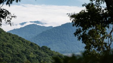 Apalaş Dağları 'nın vadilerinde sisli bir sabah. Blue Ridge Parkway' in manzarası.