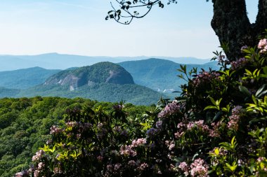 Looking Glass Rock Appalachian Dağı 'ndaki Blue Ridge Parkway boyunca