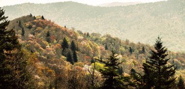 Blue Ridge Parkway boyunca Bahar Zamanı Appalachian Dağı Manzarası