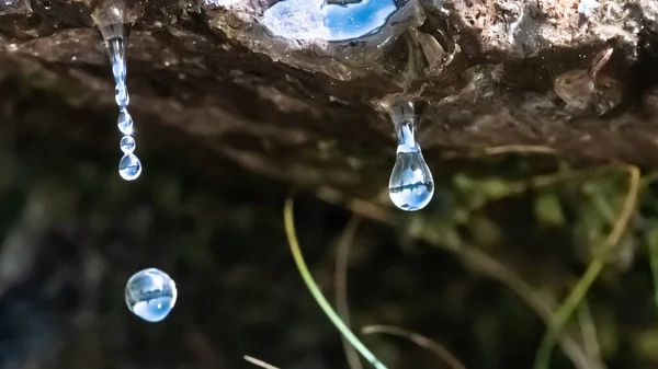 一个简单的水滴反映了周围的世界 — 图库照片
