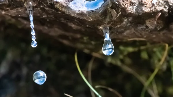 Die Welt Uns Herum Spiegelt Sich Einem Einfachen Tropfen Wasser — Stockfoto