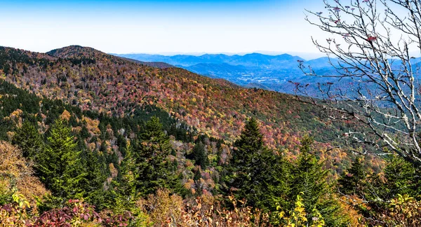 Hösten Appalachian Mountains Visas Längs Blue Ridge Parkway — Stockfoto