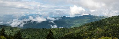 Apalaş Dağları 'nın vadilerinde sisli bir sabah. Blue Ridge Parkway' in manzarası.