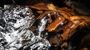 Suyun altında Sonbahar Nehrinde Düşen Yapraklar