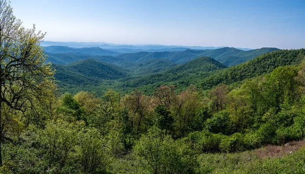 Springtime Appalachian Mountain View Langs Blue Ridge Parkway — Stockfoto