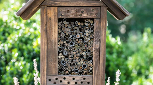 Nesting Box Filled Collection Bee Tubes — Stock Photo, Image