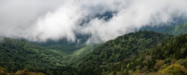 Apalaş Dağları 'nın vadilerinde sisli bir sabah. Blue Ridge Parkway' in manzarası.