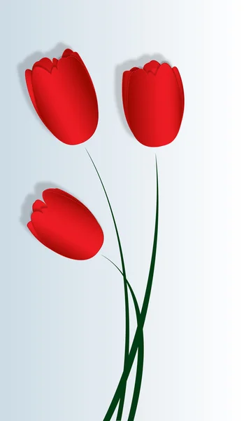 Tres tulipanes de satén rojo — Vector de stock