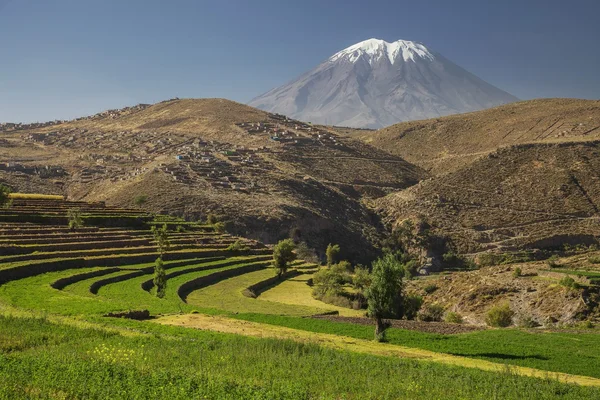 Jardim do Inca e vulcão ativo Misti, Arequipa, Peru — Fotografia de Stock