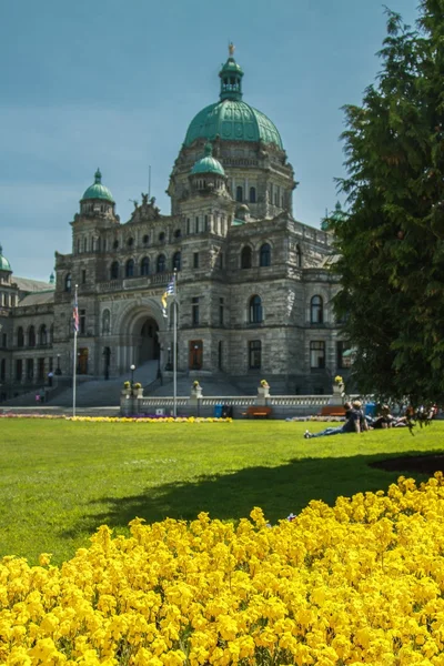 Casa do Parlamento em Victoria BC com flores amarelas em primeiro plano — Fotografia de Stock