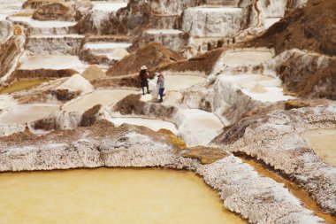 Detail of Salt ponds with working local people in the background, Maras, Peru, South america clipart