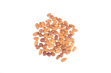 badem ve fındık beyaz zemin üzerine izole