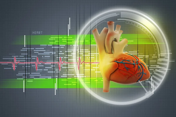 Corazón humano — Foto de Stock