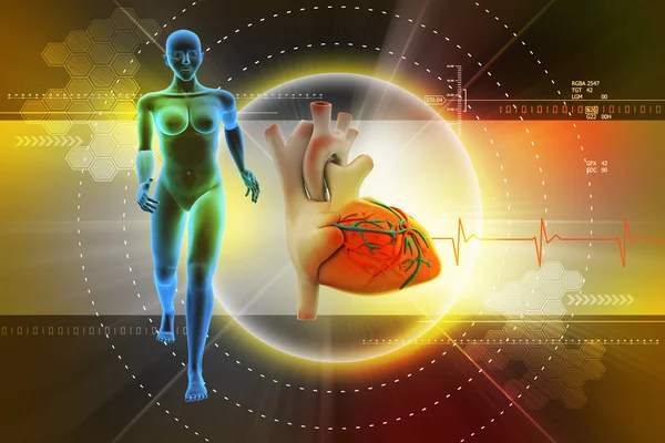 Female human body and heart — Stock Photo, Image