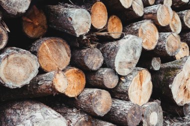 Yakacak odun yığını