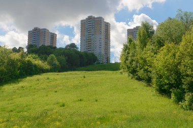 Yeşil bir tepenin üstündeki çok katlı binalar.