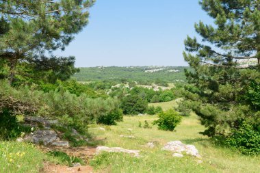 Yeşil ormanları ve kayalık arazisi olan bir dağ vadisi.