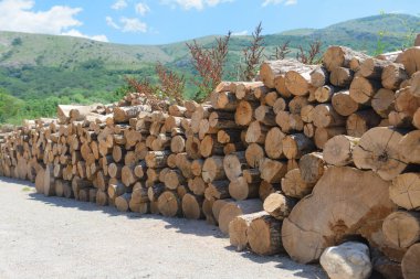 Güneşli bir yaz gününde yol boyunca yakacak odun dolu bir sıra uzanır.