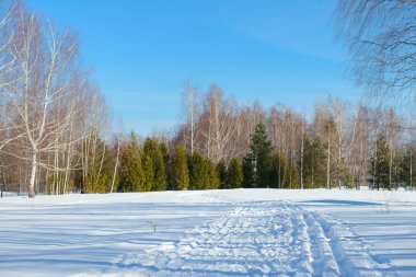 Ormana giden karlı bir yolda güneşli bir kış günü