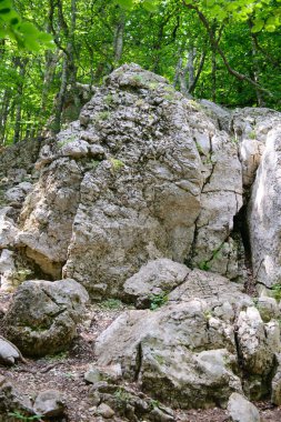 Bir sürü kayası ve yeşil ormanı olan kayalık bir dağ.