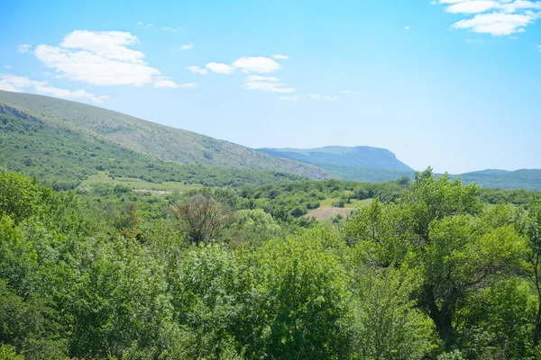 Vista Desde Montaña Hasta Verde Valle Con Colinas Bosques Día —  Fotos de Stock