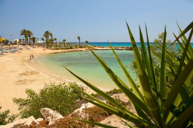 2 Mayıs 2014: Kıbrıs kıyılarındaki kumsal. Ayia Napa. Kıbrıs.