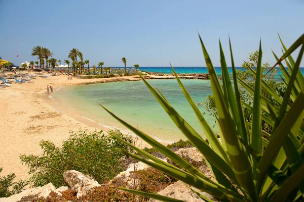 Maio 2014 Praia Areia Costa Chipre Ayia Napa Chipre — Fotografia de Stock