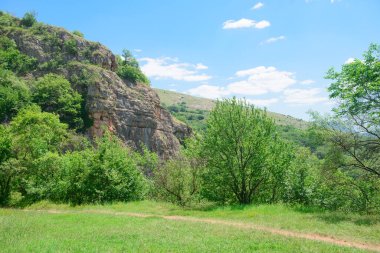 Güneşli bir yaz gününde yolu olan yeşil dağ yamaçları