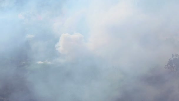 Le feu sous les tropiques 