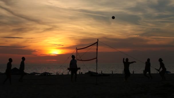 Volleyball on the beach in the evening — Stock Video