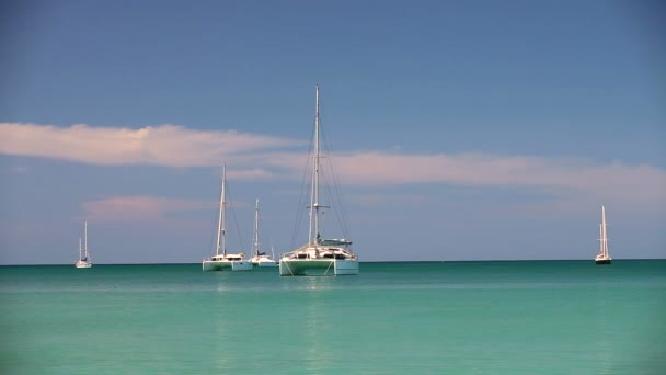 Yacht dans la mer — Video