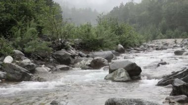HD. hızlı ve kayalık dağ nehir yaz yağmur