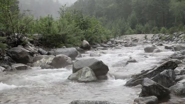 HD. rivière de montagne rapide et rocheuse en été sous la pluie 