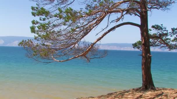 HD. Paisaje de lago azul — Vídeo de stock