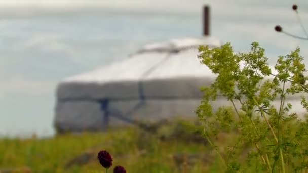 HD. yurt in de bewolkt zomer — Stockvideo