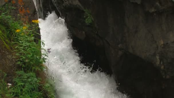 HD. cachoeira no rio rápido da montanha — Vídeo de Stock