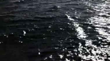 kumlu sahilde HD. surf su