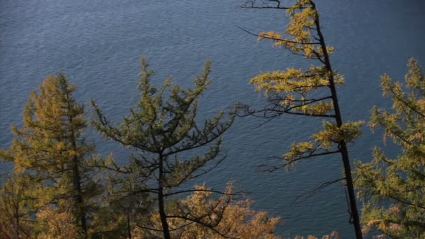 HD. Hermoso lago azul en otoño (Lago Baikal ) — Vídeos de Stock