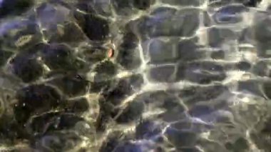 Güneş altında su HD. yansıması