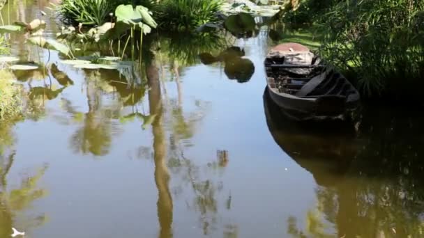 Un barco solitario flota en un estanque tropical — Vídeo de stock