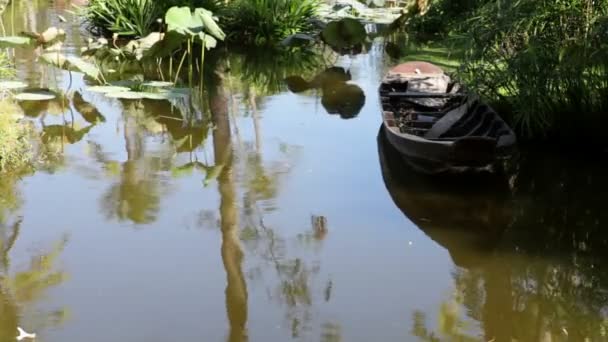 Un barco solitario flota en un estanque tropical — Vídeo de stock